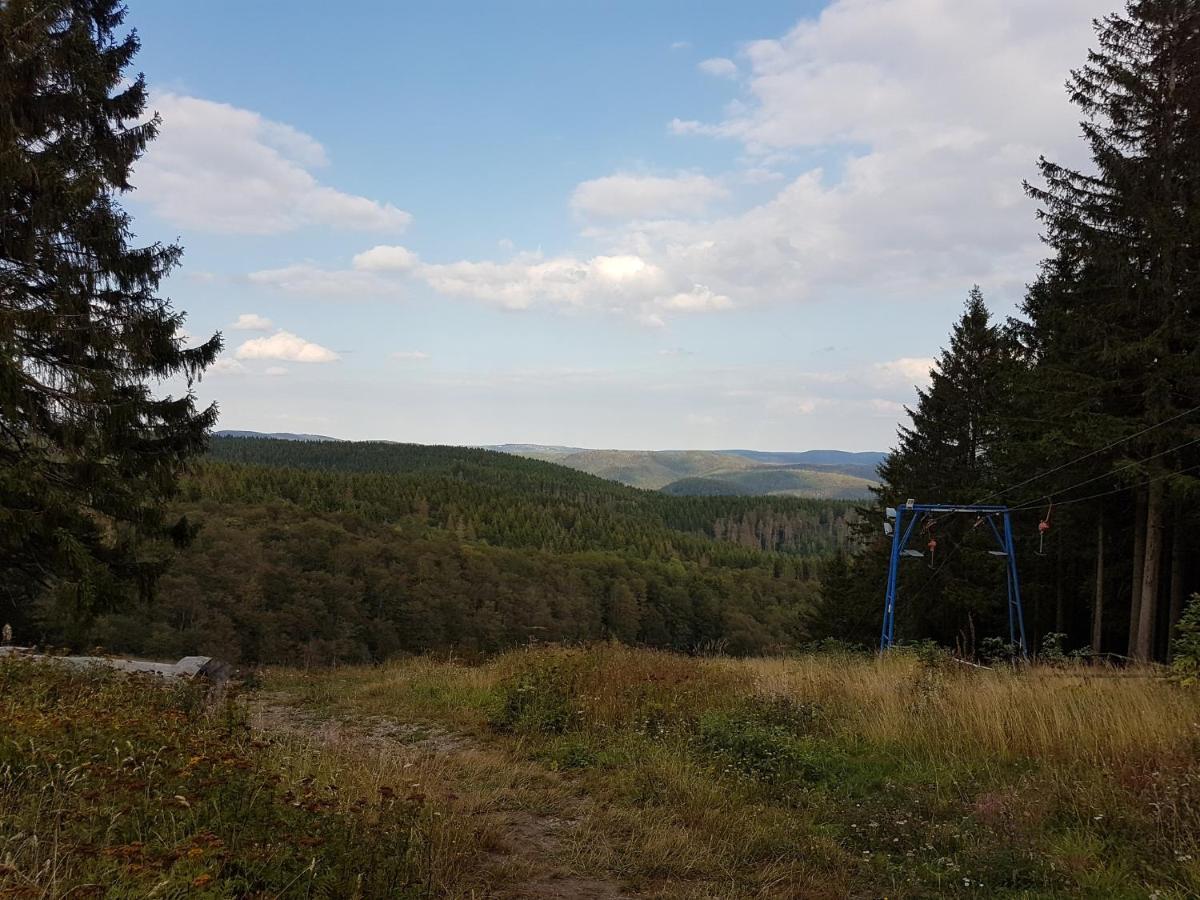Ferienwohnungen Harz - Wieda المظهر الخارجي الصورة